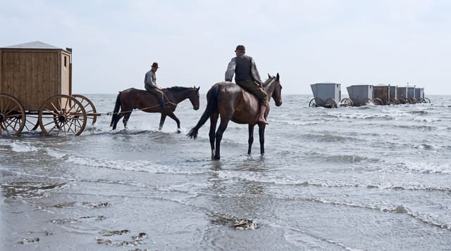 Föhr