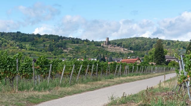 German Wine Route
