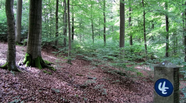 Kellerwald-Edersee National Park