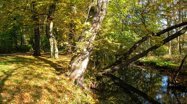 Märkische Schweiz and Buckow