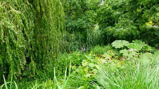 Planten un Blomen