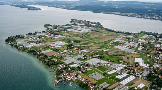 Reichenau Island
