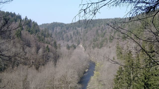 Wutach Gorge