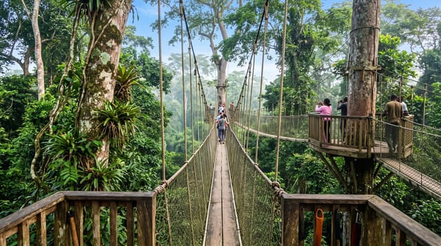 Kakum National Park