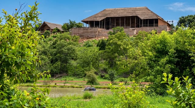 Mole National Park
