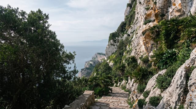 The Mediterranean Steps