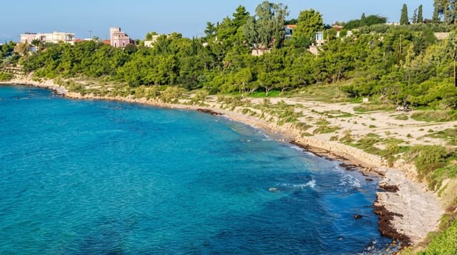 Aegina