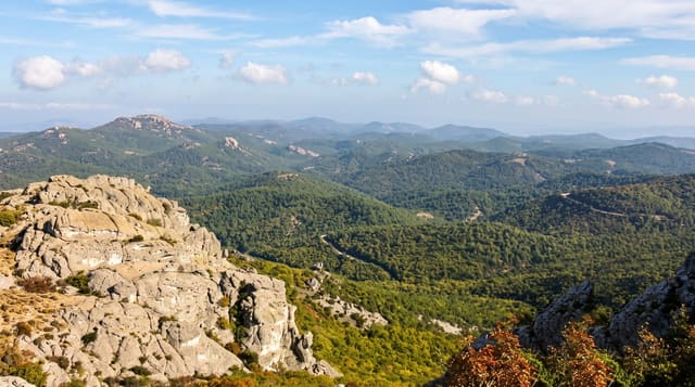 Dadia Forest National Park