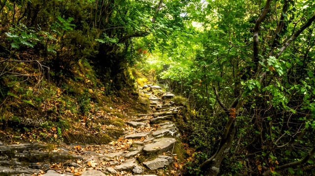 Dimosari Gorge