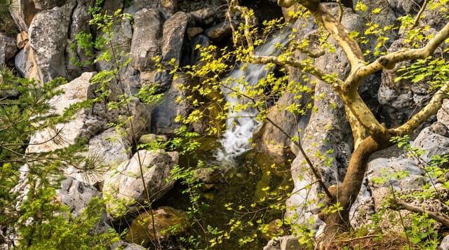 Drymona Waterfalls