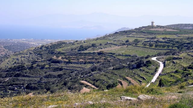 Lefkes