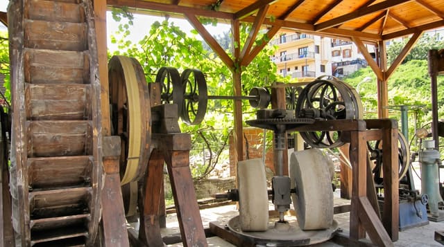 Museum of the Olive and Greek Olive Oil