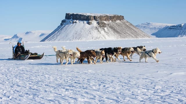 Inuit Culture and Dog Sledding