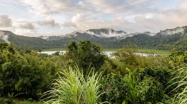 Grand Étang National Park