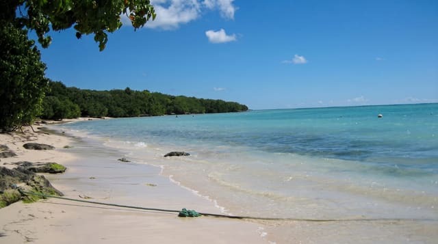The Beaches of Grande-Terre