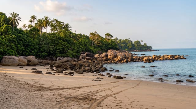 The Îles de Los