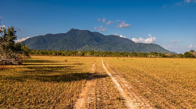 The Rupununi Savannah