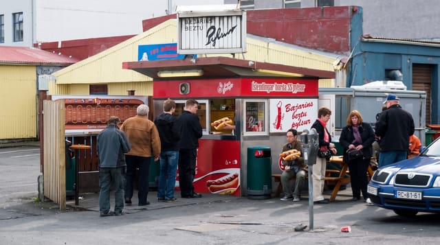 The Icelandic Hot Dog