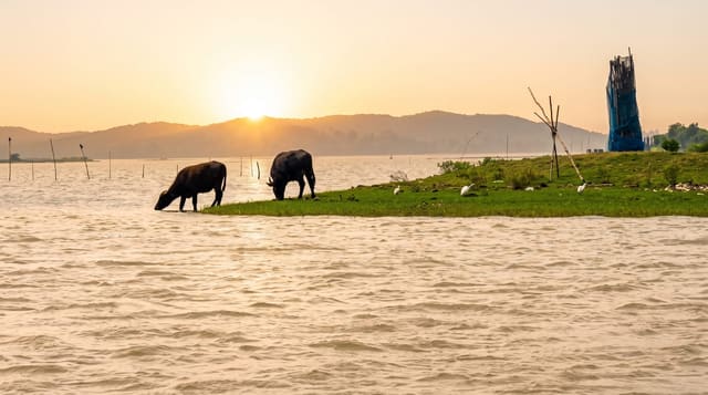 Chilika Lake