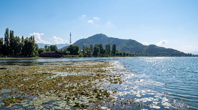 Dal Lake, Srinagar
