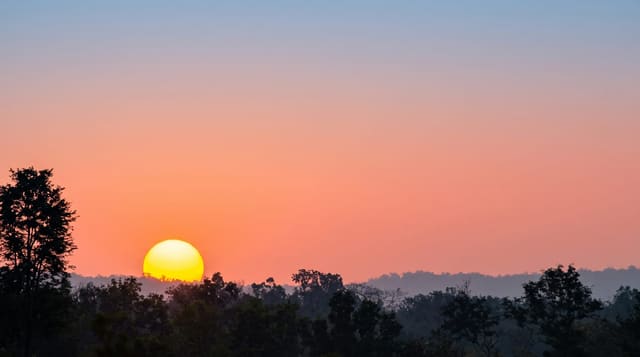 Dandeli