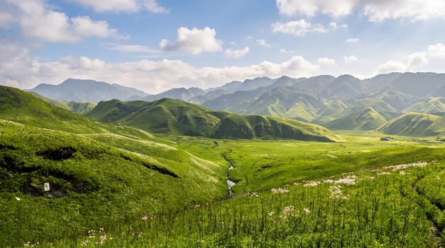 Dzukou Valley