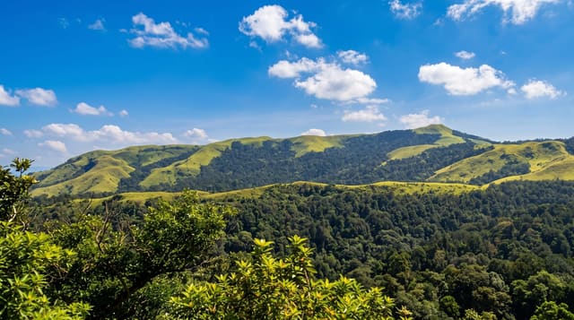 Kudremukh National Park