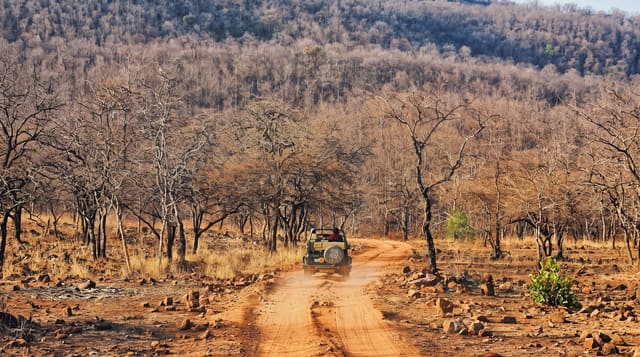 Panna National Park