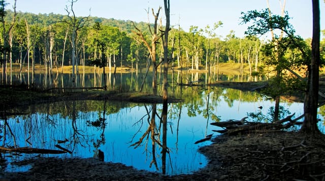 Pench National Park