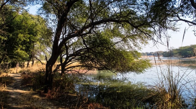 Sultanpur National Park