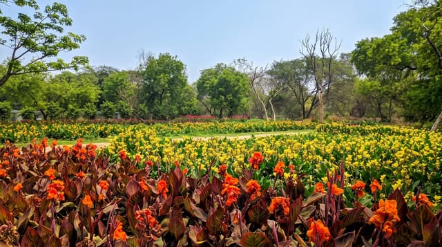 Sunder Nursery