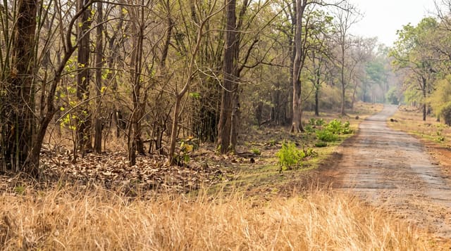 Tadoba Andhari Tiger Reserve