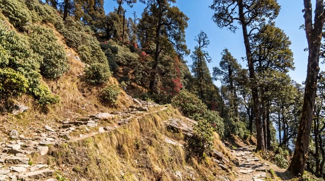 Triund Trek