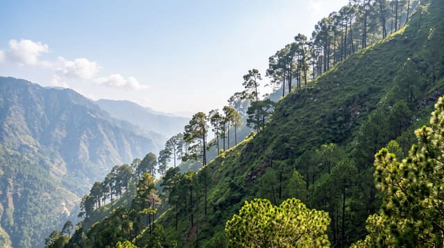 Vaishno Devi