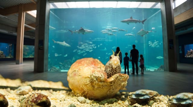 Galway Atlantaquaria