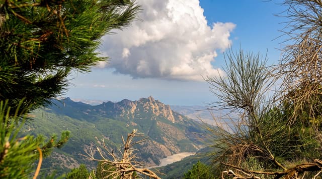 Aspromonte National Park