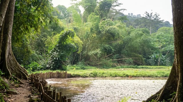 Banco National Park