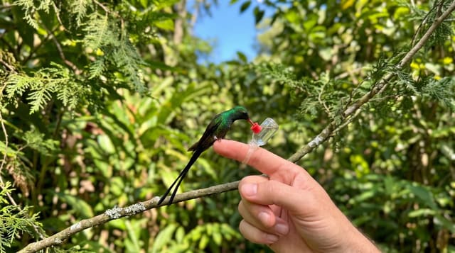 Rocklands Bird Sanctuary