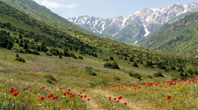 Aksu-Zhabagly