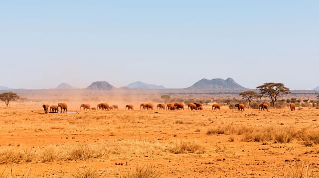 Tsavo East and Tsavo West