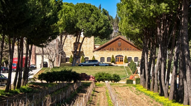 The Bekaa Wineries