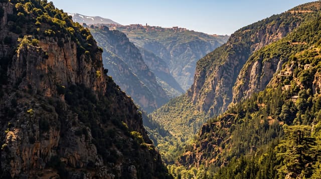 The Cedars and the Qadisha Valley