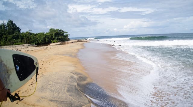 The Beaches and Robertsport