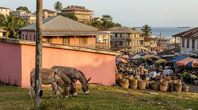 Monrovia