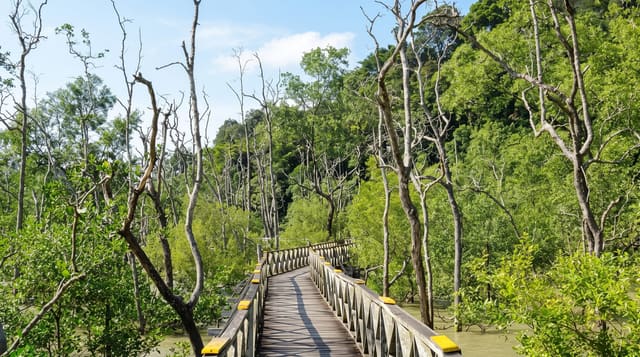 Bako National Park