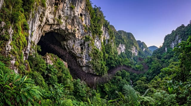 Gunung Mulu Caves