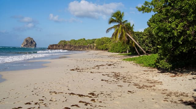 Les Salines and the Beaches