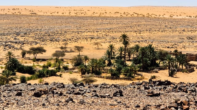 The Adrar Desert and Oases