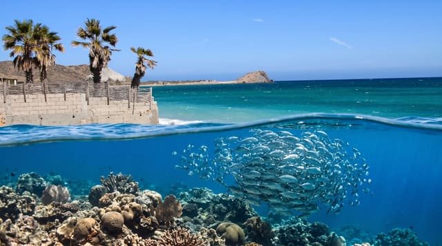 Cabo Pulmo
