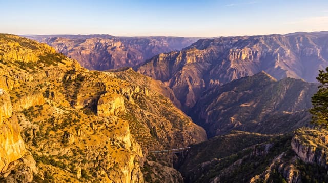 Copper Canyon